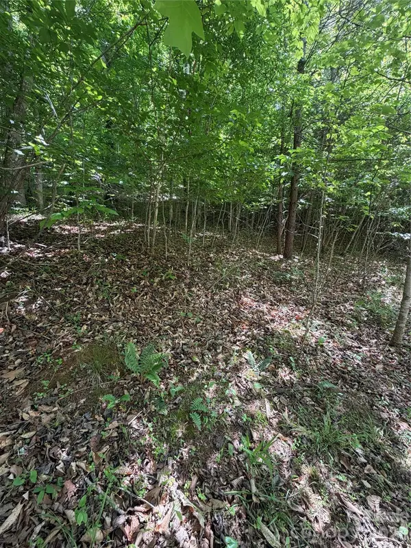 0 Creekside CIR #135, Rutherfordton, NC 28139