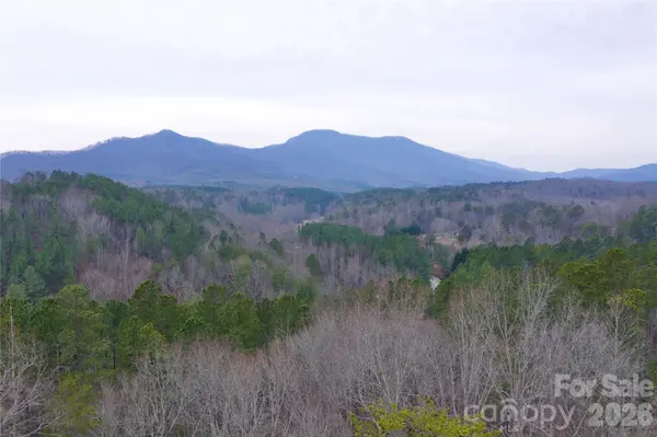 1140 Hwy 9 HWY, Mill Spring, NC 28756