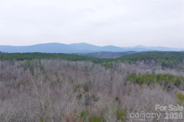 1140 Hwy 9 HWY, Mill Spring, NC 28756