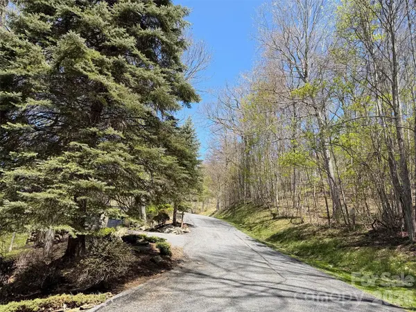20 Cliff's Edge DR, Burnsville, NC 28714