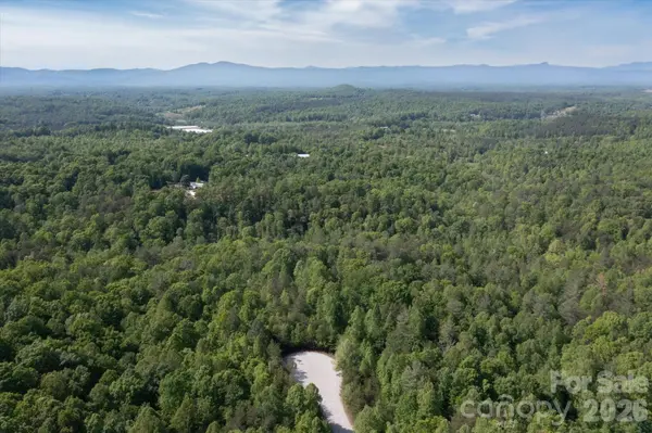 54 Perennial DR #54, Nebo, NC 28761