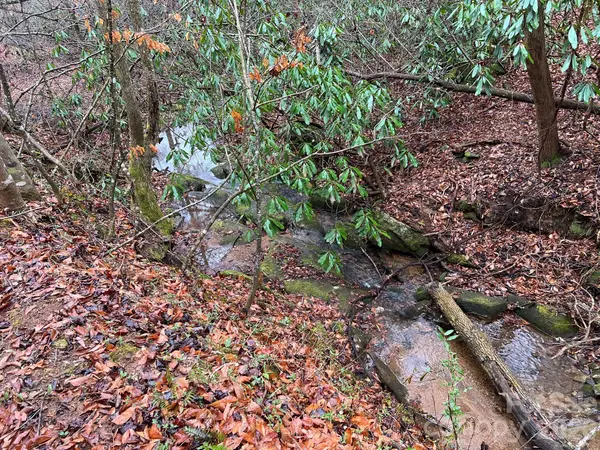 0 Russell Gap RD, Taylorsville, NC 28654