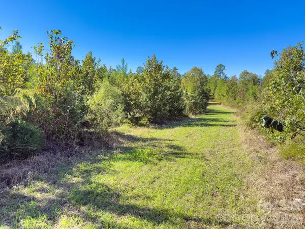 0 Hwy 731 HWY E, Candor, NC 27229