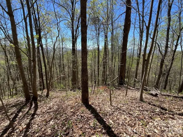 0 Crackin Chestnut LN, Sylva, NC 28779