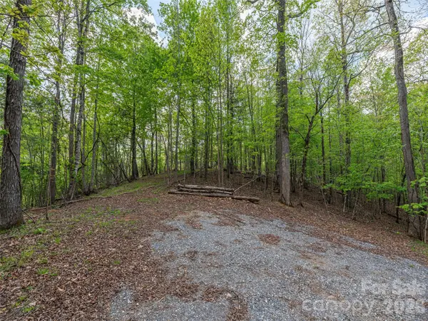 000 Caney Fork RD, Cullowhee, NC 28723