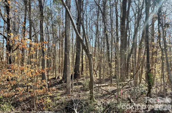 02 Lurecliff PL, Fort Mill, SC 29708