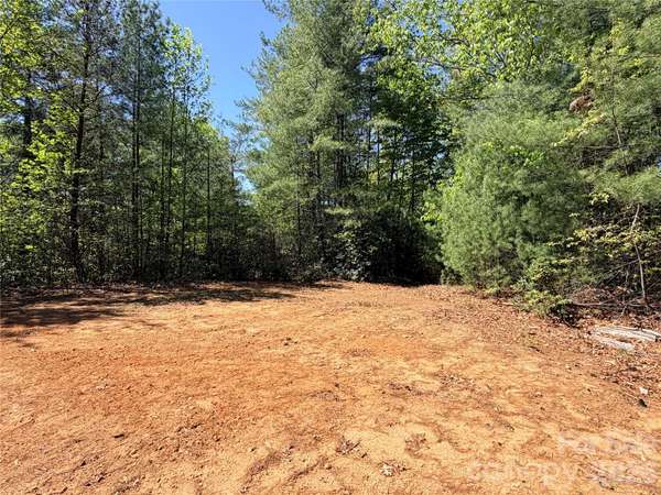 TBD Staghorn RD #160 & 161, Purlear, NC 28665