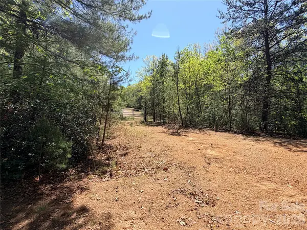 TBD Staghorn RD #160 & 161, Purlear, NC 28665