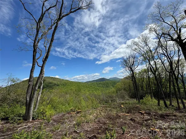 TBD E Garden TRL #45, Hendersonville, NC 28792