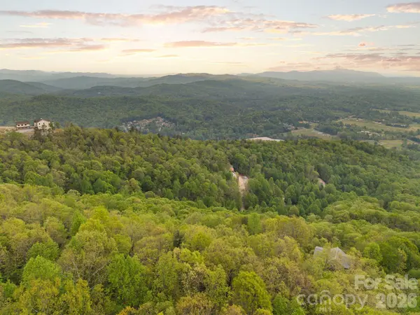 TBD Pinnacle Mountain RD, Zirconia, NC 28790