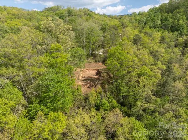 Lot 1 Breedlove RD, Bryson City, NC 28713