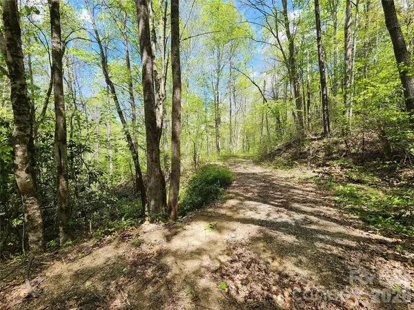 165 Wagon Wheel WAY #2, Canton, NC 28716