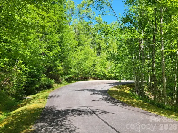 20 Rockbrook Overlook #L20, Brevard, NC 28712
