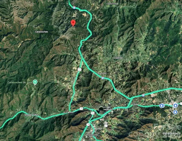 111 Digging Seng TRL #138, Waynesville, NC 28785