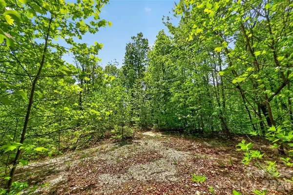 0 Bobcat DR #741, Old Fort, NC 28762