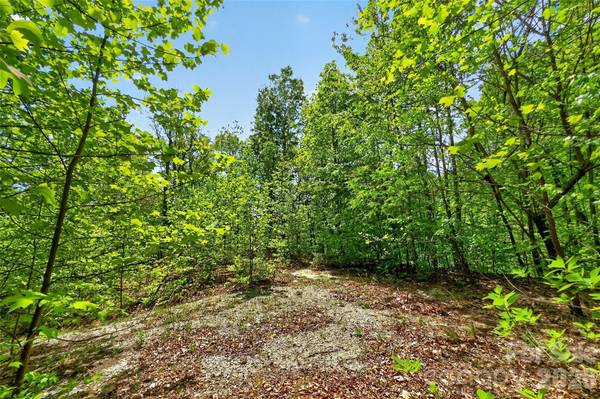 0 Bobcat DR #741, Old Fort, NC 28762