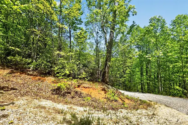 0 Bobcat DR #741, Old Fort, NC 28762