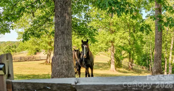 777 S River RD, Tryon, NC 28782