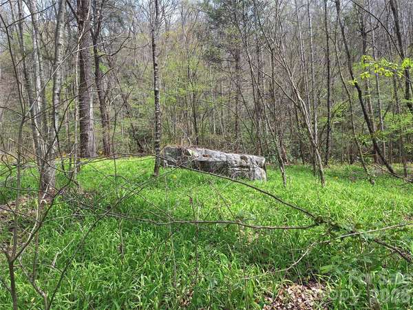 946 Lake RD, Old Fort, NC 28762