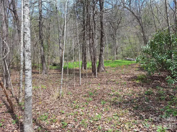 946 Lake RD, Old Fort, NC 28762