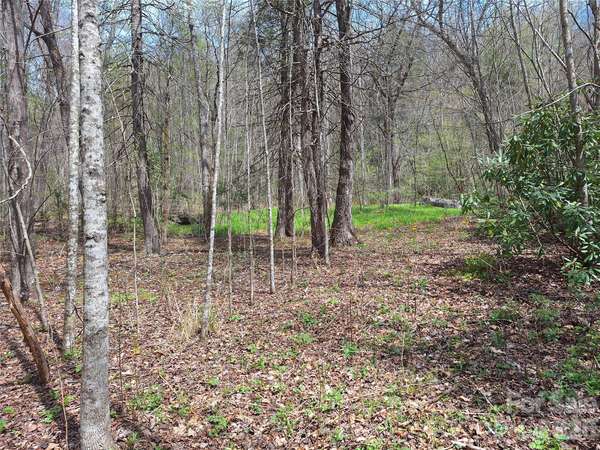 946 Lake RD, Old Fort, NC 28762