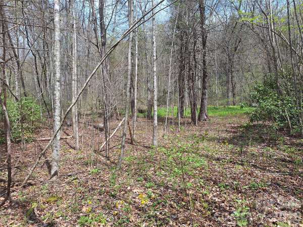 946 Lake RD, Old Fort, NC 28762