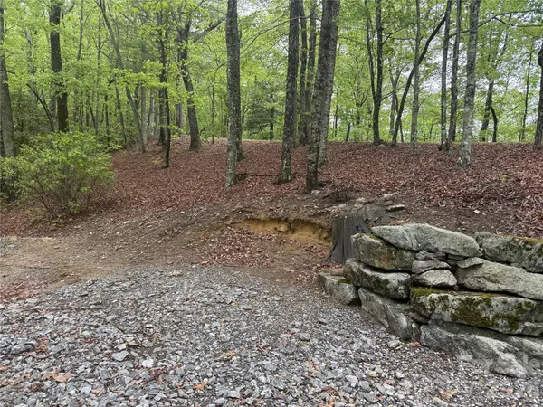 39 Black Bear Ridge TRL #20, Zirconia, NC 28790