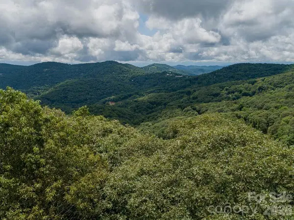 366 Birch Springs LN #366, Mars Hill, NC 28754