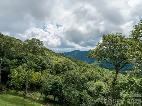 366 Birch Springs LN #366, Mars Hill, NC 28754