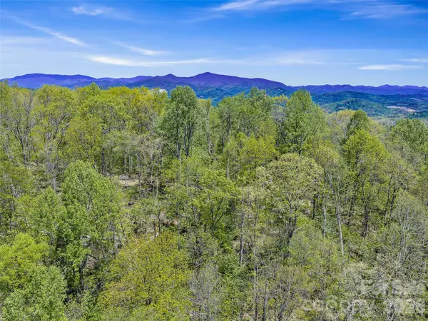 TBD Holly Dale DR, Spruce Pine, NC 28777