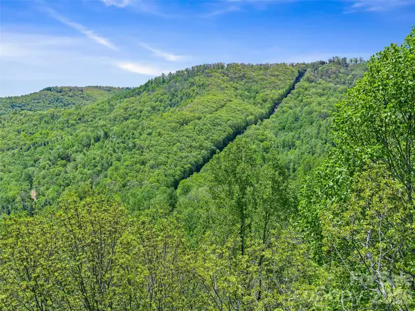 TBD Holly Dale DR, Spruce Pine, NC 28777