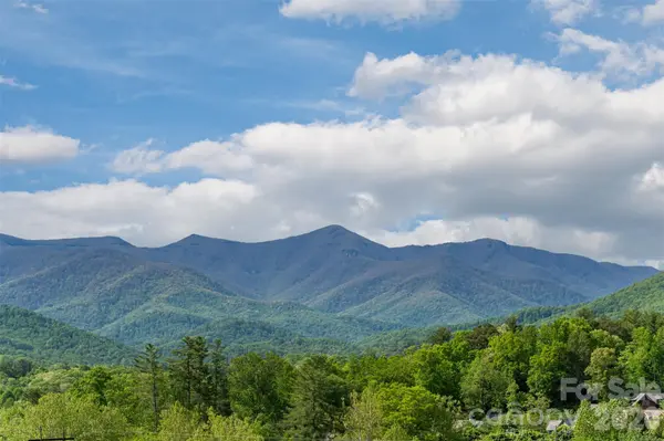 25 Rantis LN, Black Mountain, NC 28711