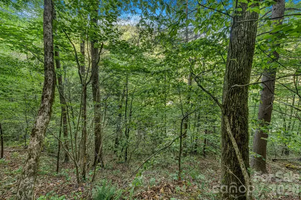 31 Caddis CT, Marshall, NC 28753