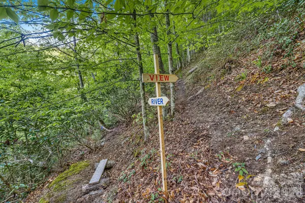 31 Caddis CT, Marshall, NC 28753