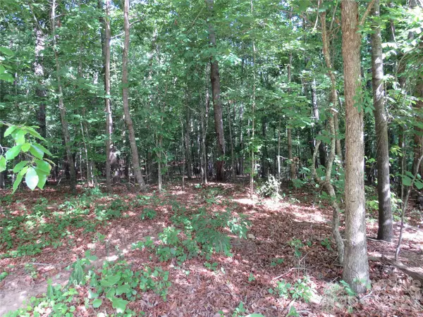 0 S Woodleaf RD, Forest City, NC 28043