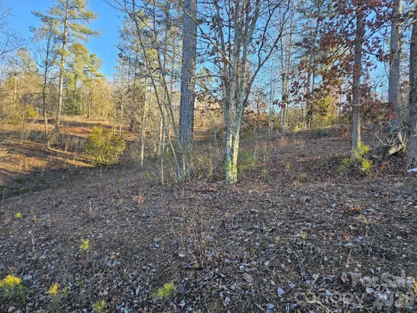 2167 Inlet Shore RD NE, Connelly Springs, NC 28612