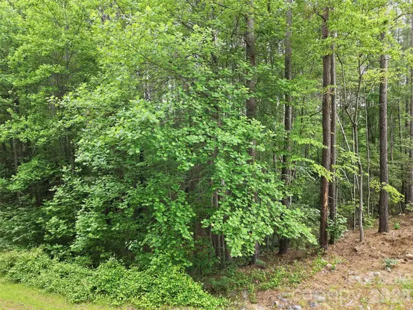 6020 Plantation Pointe DR #91, Granite Falls, NC 28630