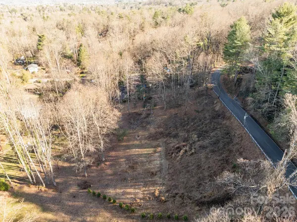 000 Davis Mountain RD, Laurel Park, NC 28739
