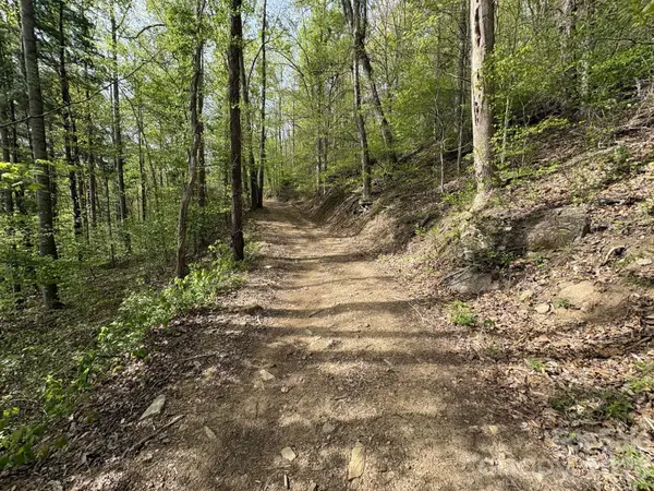 999999 Harwood RD #2, Barnardsville, NC 28709