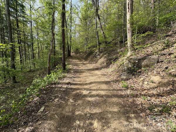 999999 Harwood RD #2, Barnardsville, NC 28709