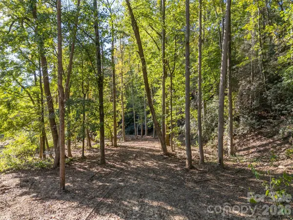 0 Firefly CV #9, Lake Lure, NC 28746