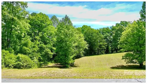 0 Shady Bark LN #46, Rutherfordton, NC 28139