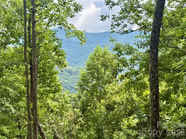 0 Carpenter RD, Bryson City, NC 28713
