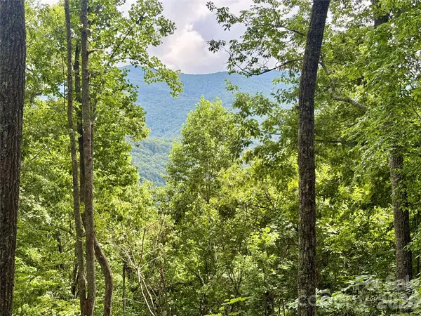 0 Carpenter RD, Bryson City, NC 28713