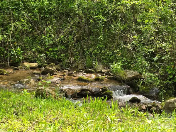 99999 Roaring Fork RD, Mars Hill, NC 28754