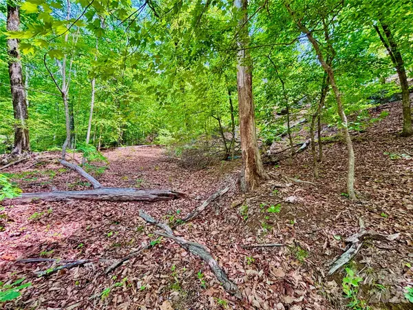 350 Springvalley DR, Rutherfordton, NC 28139