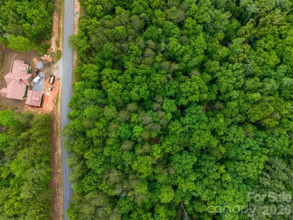 LOT 2009 Deep Gap Farm RD W, Mill Spring, NC 28756