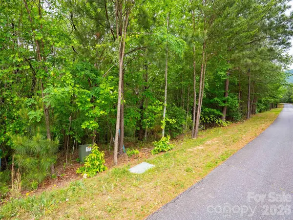LOT 2009 Deep Gap Farm RD W, Mill Spring, NC 28756