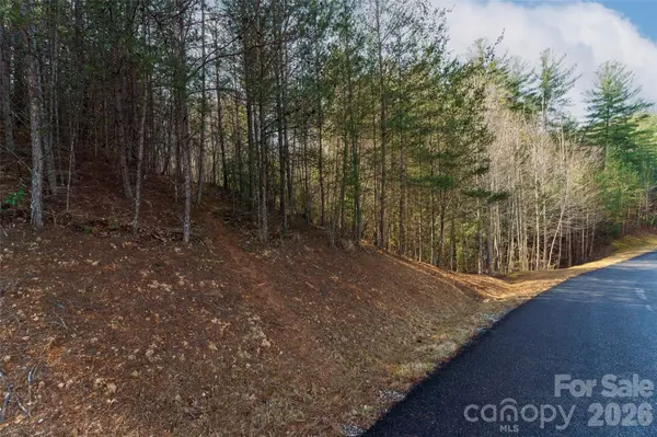 265 Harborside DR #250, Nebo, NC 28761