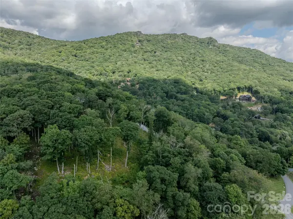 G30 Lodge Woods TRL, Banner Elk, NC 28604